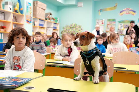 Patron, a bomb-sniffing dog, visited a classroom where students learned about the hazards of landmines and unexploded ordnance in Ukraine. 