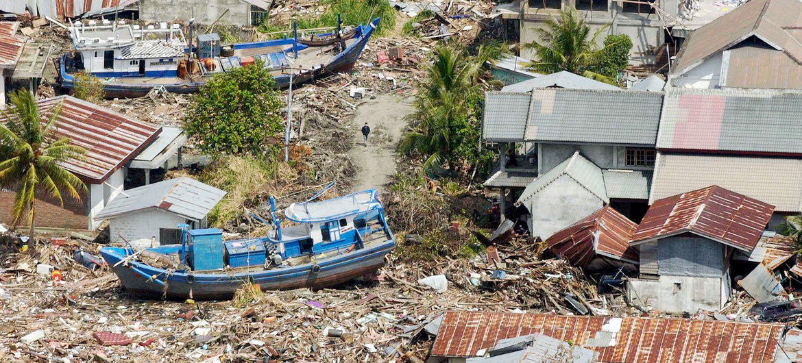 50 Shocking Facts Thailand Tsunami Death Toll Unveiled 2024