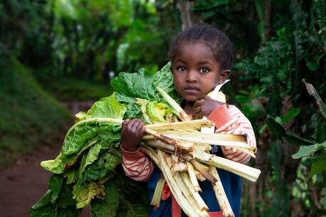 A young girl in the Sidama region of Ethiopia, where UNICEF supports community nutrition programs, holds an armful of fresh leafy vegetables.