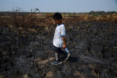 In Peru, a young boy walks through an area devastated by wildfires, a common problem linked to prolonged drought and other environmental factors.