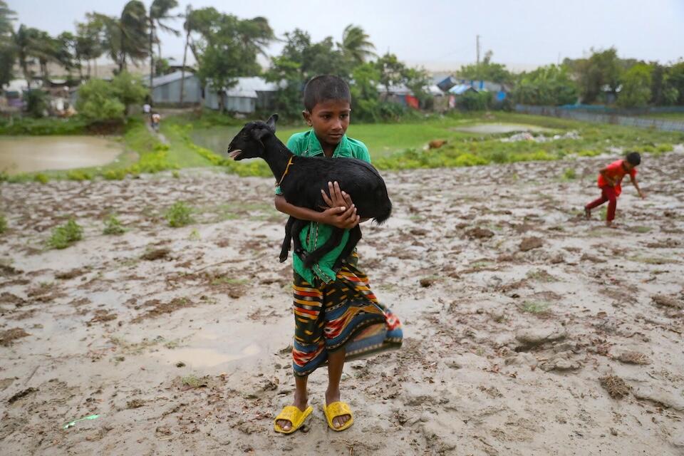 A boy holding a goat makes his way to a shelter in advance of Cyclone Remal making landfall in Bangladesh on May 26, 2024.