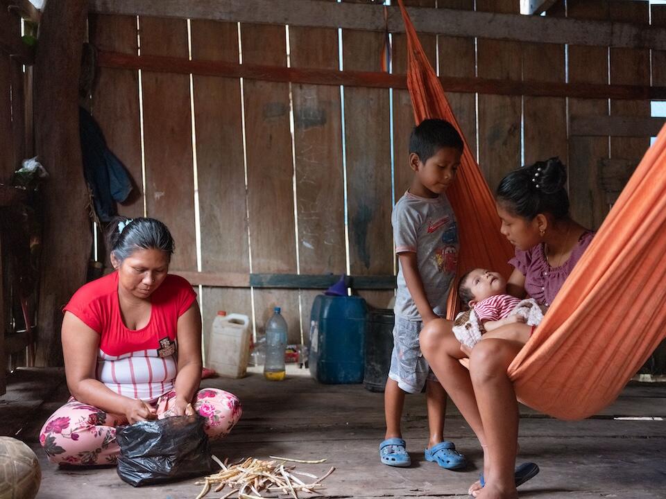 in the Community of Lisboa, Loreto, Peru, Alize Tamani, 37, works on her bean harvest while her daughter Vivian, 12, holds her 2-month-old brother Mariel and her son Esteban, 5, helps.