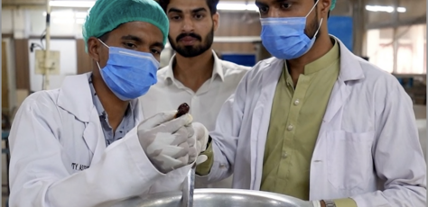 University students in Faisalabad created a start-up, Royella Foods, <a href=